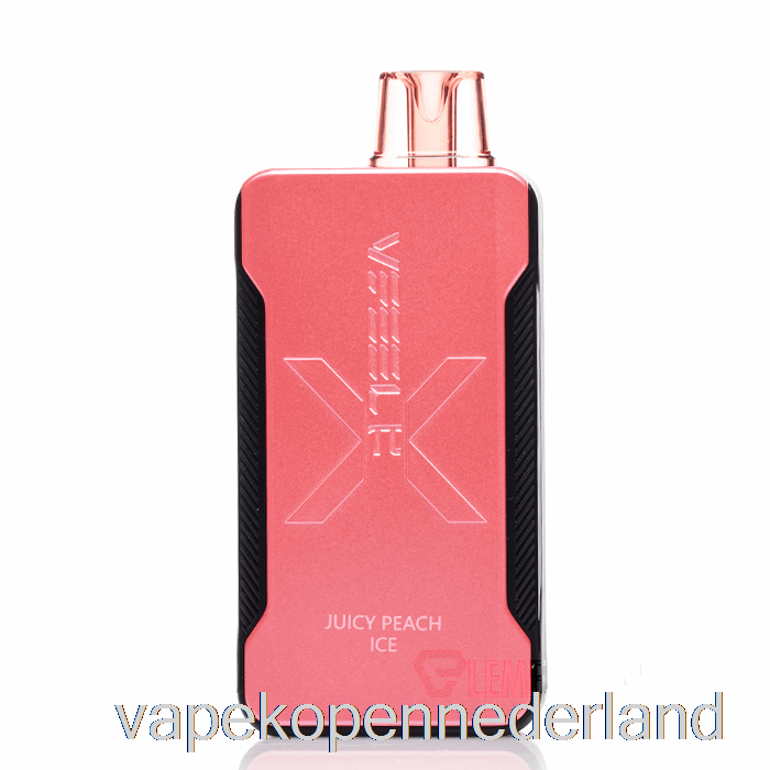 Elektronische Sigaret Vape Vfeel Pi 20000 Wegwerp Sappig Perzikijs